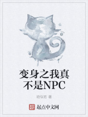 ֮治NPC